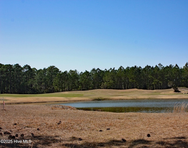 Listing photo 3 for 597 Barrington Pl SW Unit 20, Ocean Isle Beach NC 28469