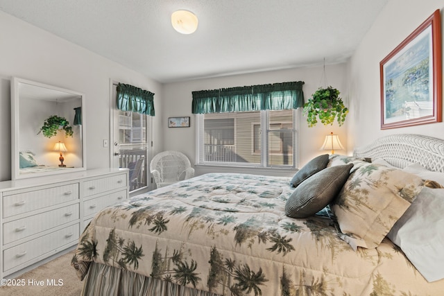 bedroom with carpet floors