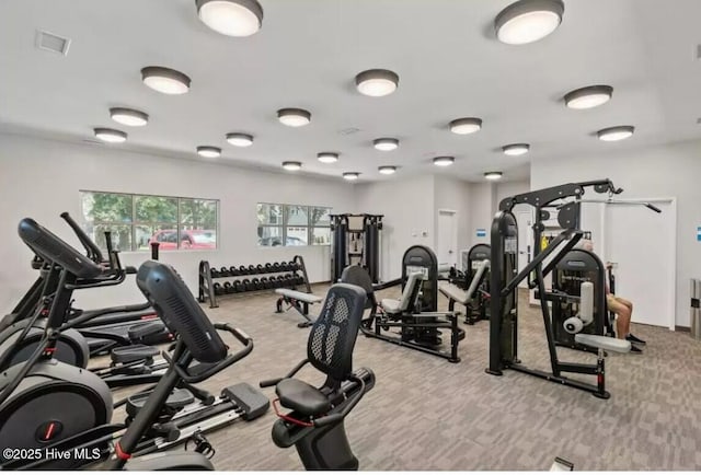 gym with visible vents and carpet