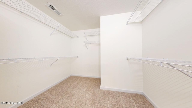 spacious closet featuring visible vents and carpet floors