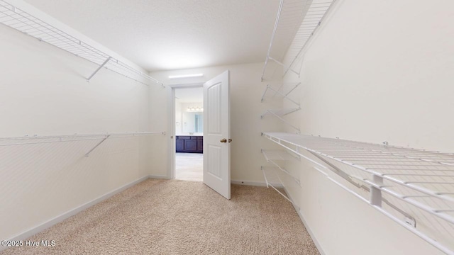 spacious closet featuring light colored carpet