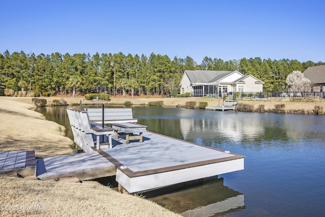 dock area with a water view