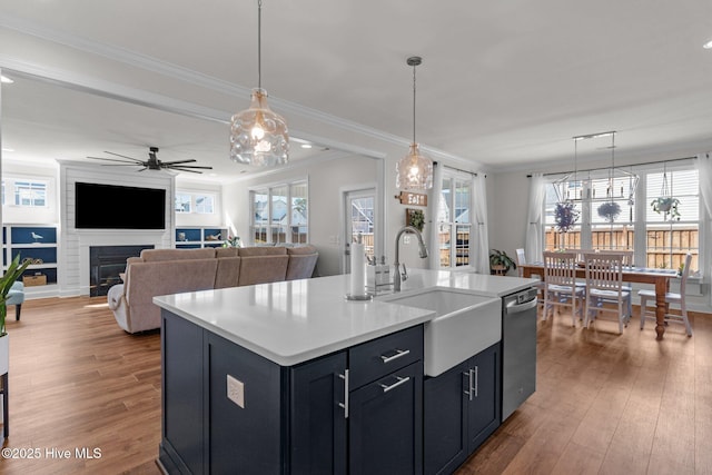 kitchen with wood finished floors, a sink, light countertops, stainless steel dishwasher, and crown molding