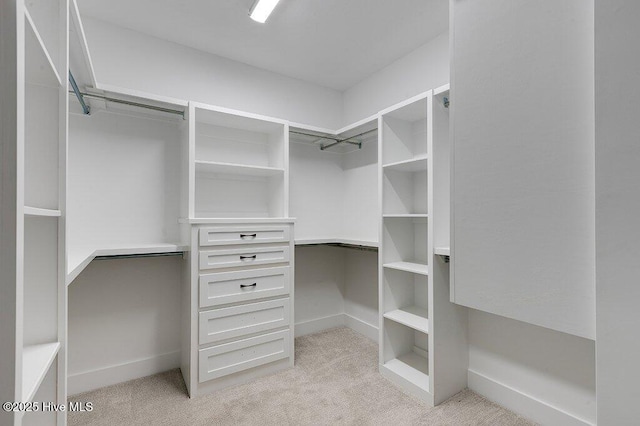 spacious closet with light carpet