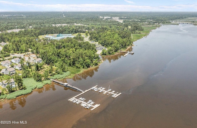 aerial view with a water view and a view of trees