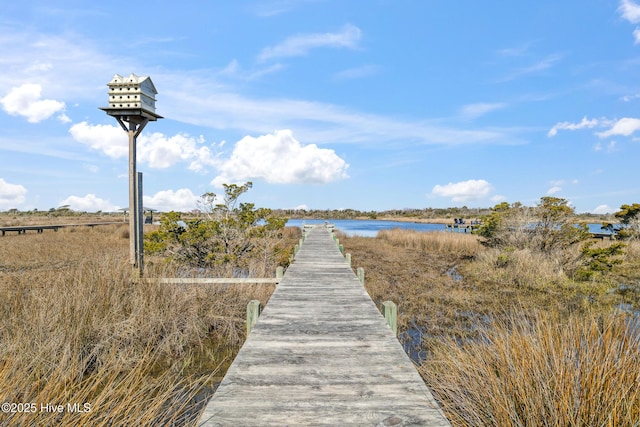 dock area featuring a water view