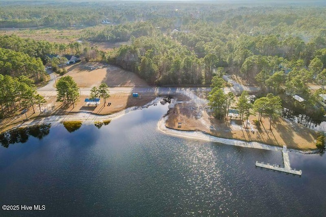 aerial view with a water view and a view of trees