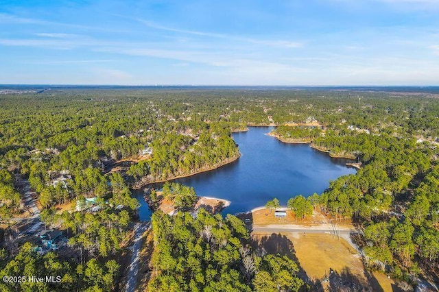 aerial view with a water view and a wooded view