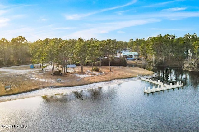 water view with a dock