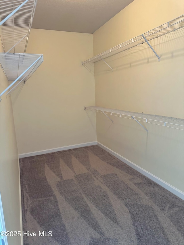 spacious closet with carpet