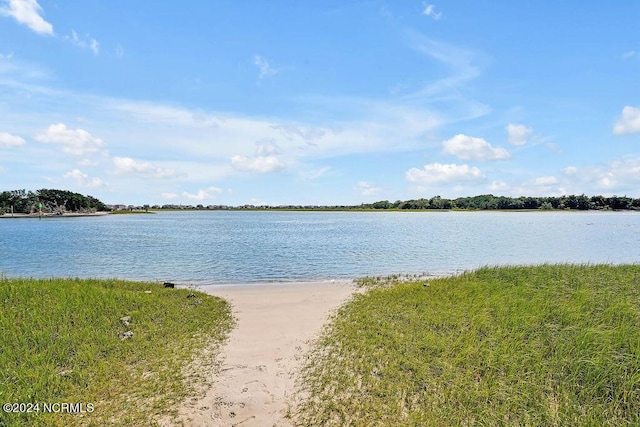 view of water feature