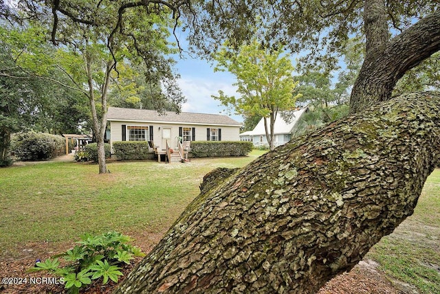 view of front facade with a front lawn