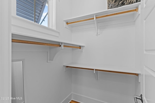 view of spacious closet