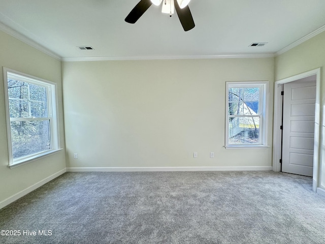 unfurnished bedroom with carpet flooring, crown molding, and multiple windows