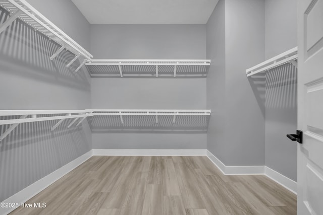 walk in closet with wood finished floors