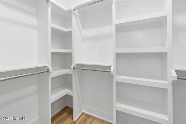 walk in closet featuring wood finished floors