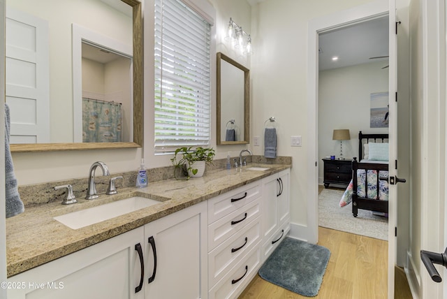 bathroom with a sink, baseboards, wood finished floors, and double vanity