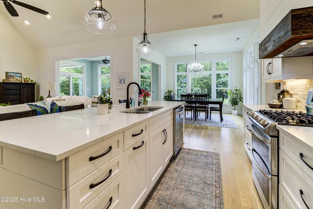 kitchen with a ceiling fan, premium range hood, light wood finished floors, a sink, and appliances with stainless steel finishes