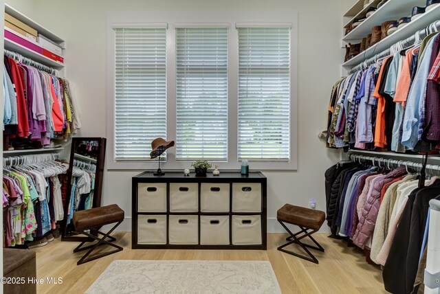 walk in closet with wood finished floors