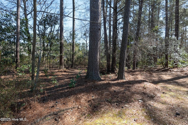 view of local wilderness with a forest view