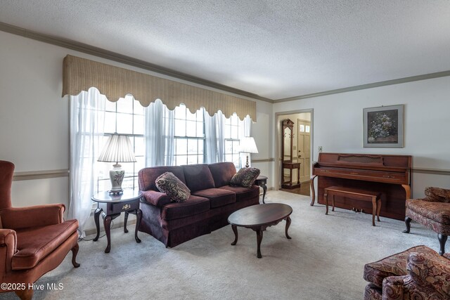 living room with carpet, ornamental molding, and a textured ceiling