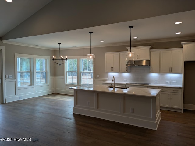 kitchen featuring light stone counters, dark wood-style floors, a wainscoted wall, a sink, and white cabinets