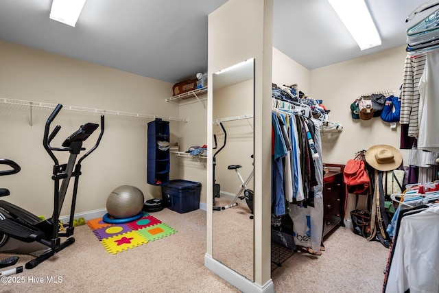 walk in closet with carpet flooring