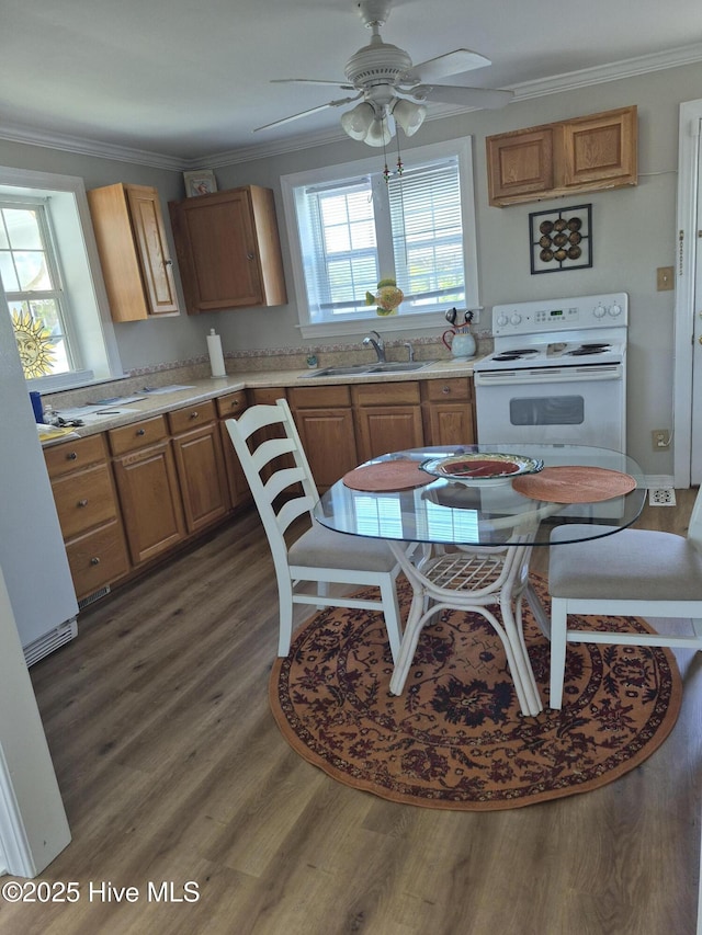 515 Mulberry St, Beaufort, NC 28516 - kitchen featuring white electric range, a sink, ceiling fan, crown molding, and dark wood-style flooring