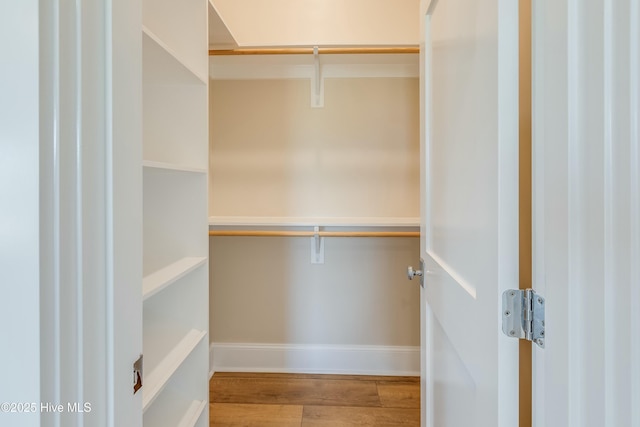 spacious closet featuring wood finished floors