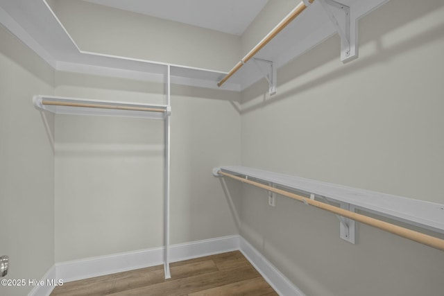 walk in closet with wood finished floors