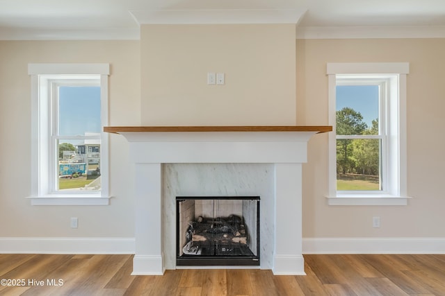 interior details featuring ornamental molding, baseboards, wood finished floors, and a high end fireplace
