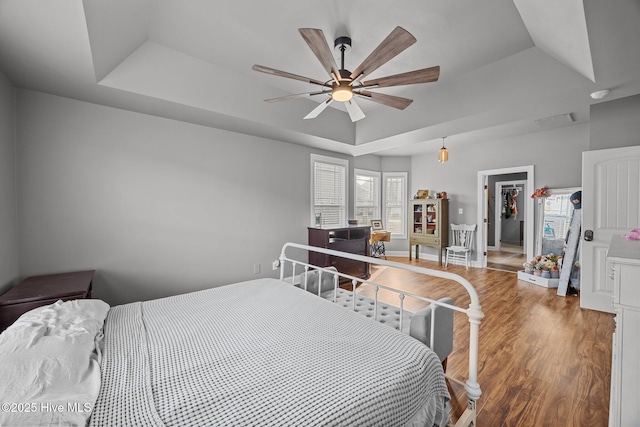 bedroom with a spacious closet, multiple windows, a tray ceiling, and wood finished floors