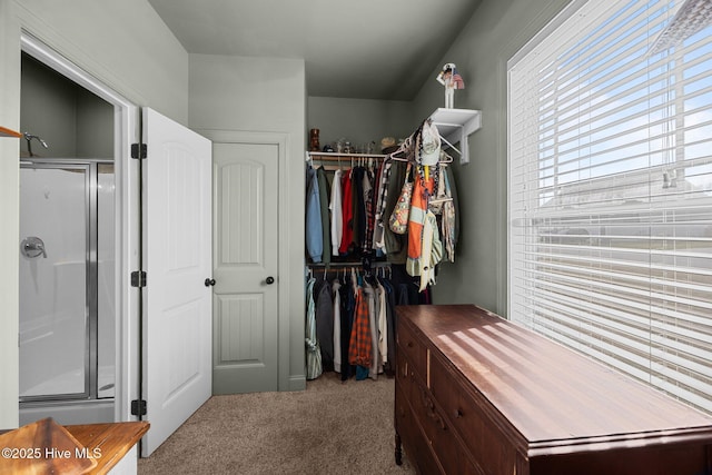 spacious closet with carpet floors