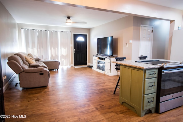 living area with ceiling fan and wood finished floors