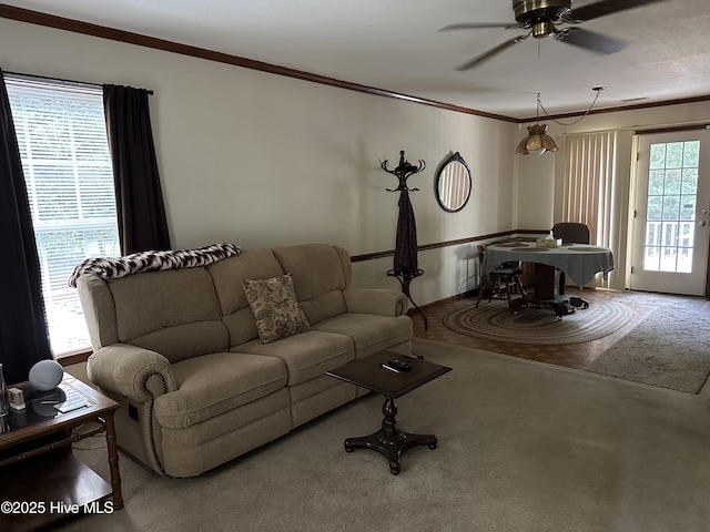 living area featuring ceiling fan, carpet, and ornamental molding