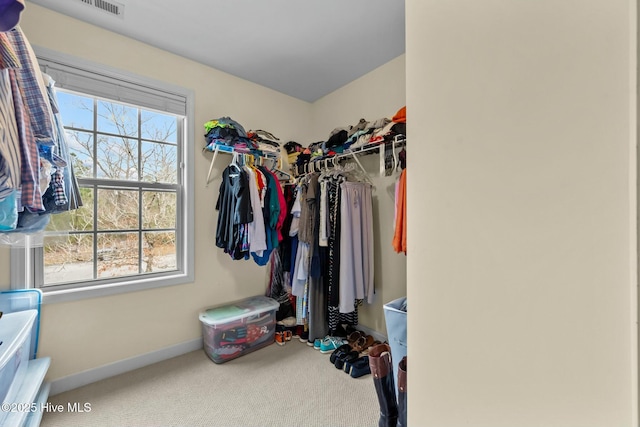 spacious closet featuring carpet flooring and visible vents