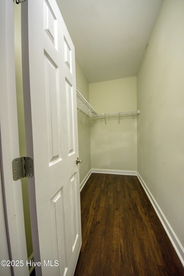 walk in closet with dark wood-style flooring