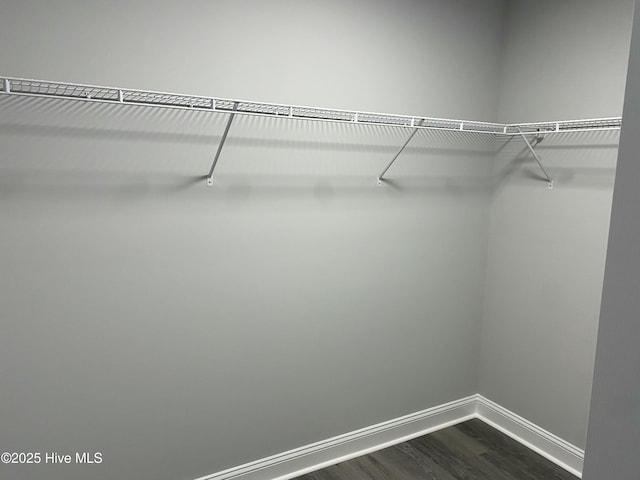 spacious closet with dark wood-type flooring