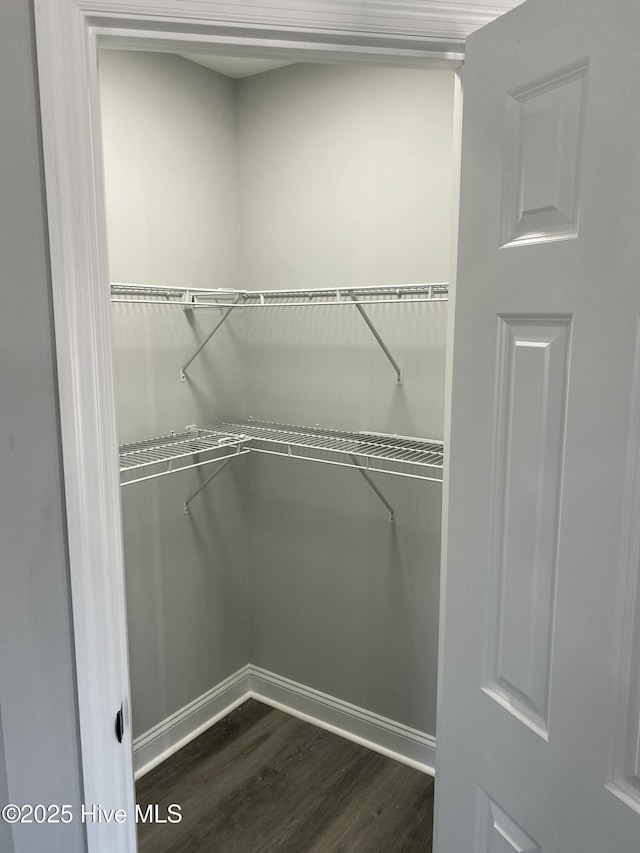 spacious closet with dark wood-style floors