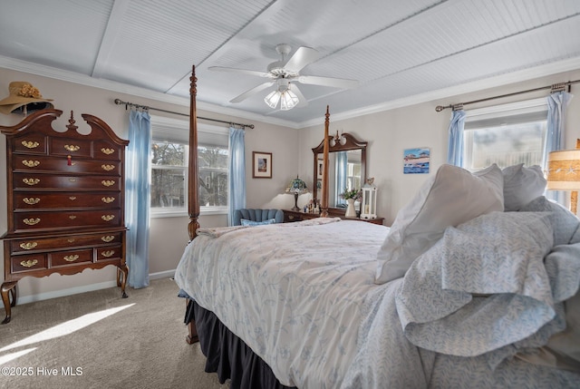 carpeted bedroom featuring baseboards, multiple windows, ornamental molding, and a ceiling fan