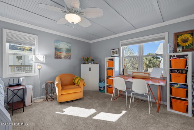 carpeted office space featuring crown molding, a healthy amount of sunlight, baseboards, and ceiling fan