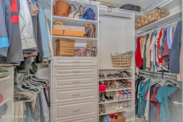 view of walk in closet