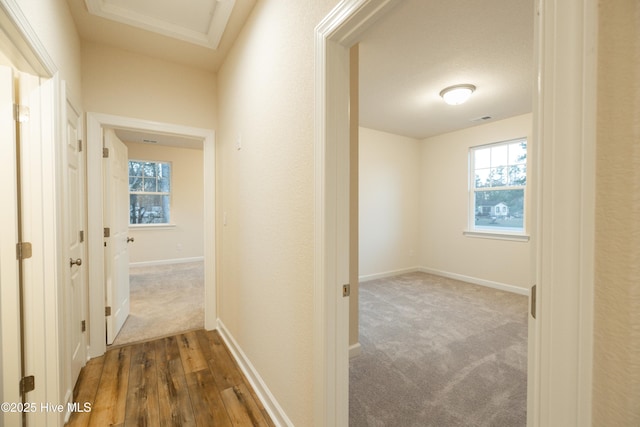 hall featuring visible vents, carpet floors, baseboards, and wood finished floors