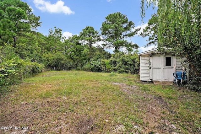 view of yard featuring an outbuilding and a storage unit