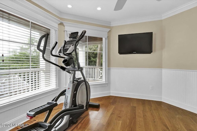 workout room with wainscoting, crown molding, ceiling fan, and wood finished floors