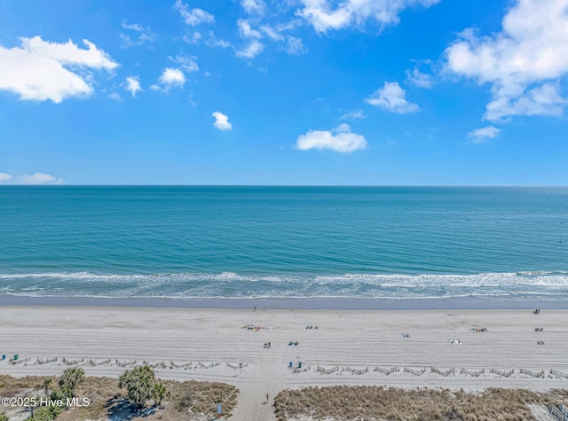 view of water feature with a beach view