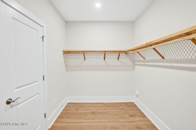 1340 Trisail Ter, Wilmington, NC 28412 - walk in closet featuring light wood-style floors