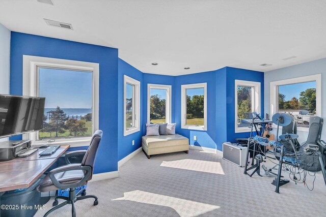 office area with visible vents, baseboards, and carpet