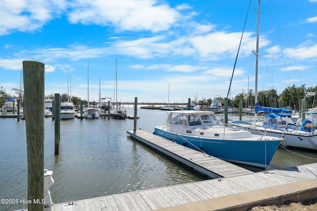 dock area with a water view