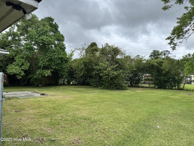 2604 Robeson St, Wilmington, NC 28405 - view of green lawn